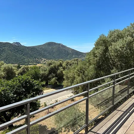 Bed & Breakfast 1185 L Aranceti *