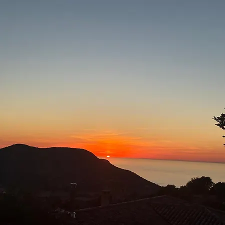 1185 L Aranceti Aregno